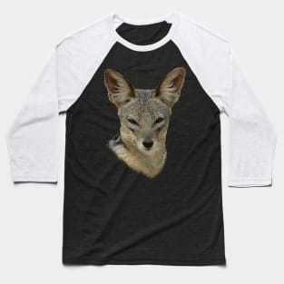 Jackal - wild dog - dog in Africa Baseball T-Shirt